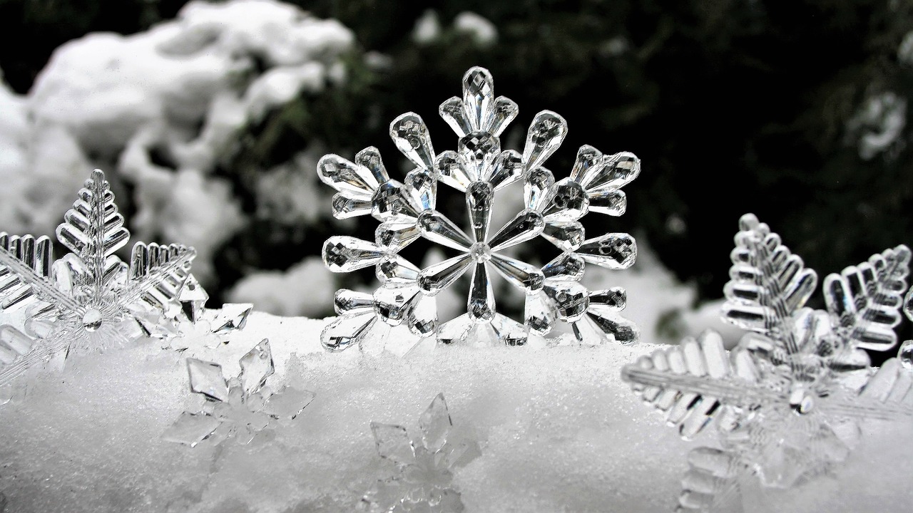 winter