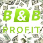 Recenze B&B Profit! Posílení postavení obchodníků po celém světě