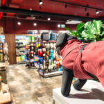 Nejen v autě, ale i na koni je třeba myslet na dobré vybavení